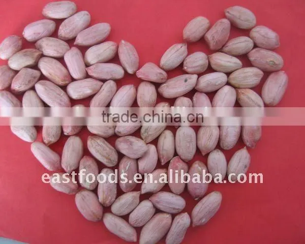 Raw Peanuts Kernel From China photo-3