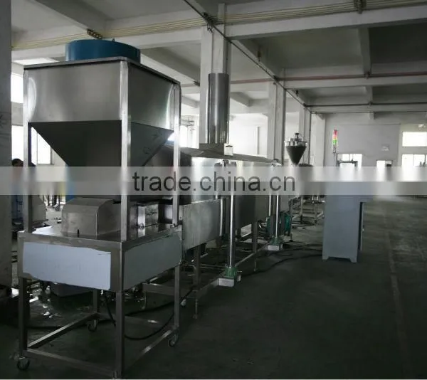 Pellet Fryer