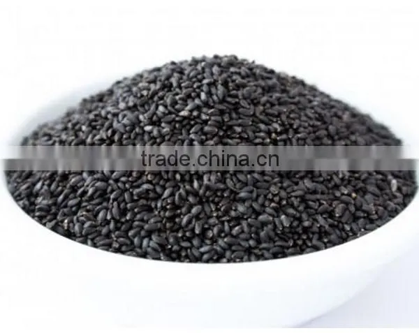 Basil Seeds / Medicinal Herb