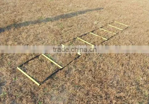 Agility Ladder
