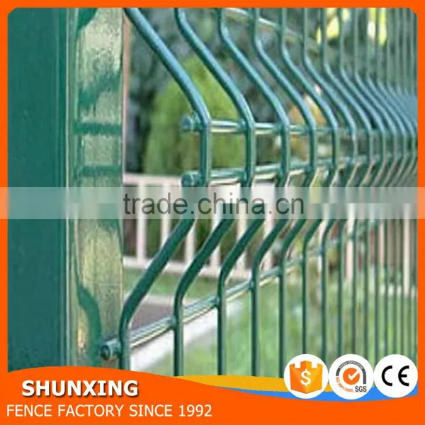 Proveedor China Green Cheap Iron Wire Mesh photo-5