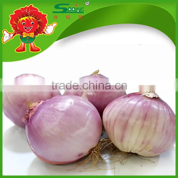 2015 Crop Fresh Red Onion in Mesh Bag Onions in Bulk photo-2