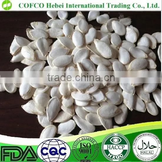 Snow White Pumpkin Seeds