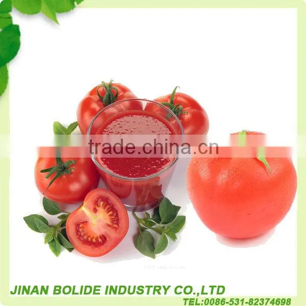 Toamto Paste With Good Quality photo-2