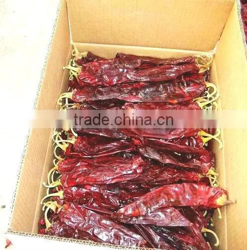 New Design Dry Cleaning Paprika photo-3