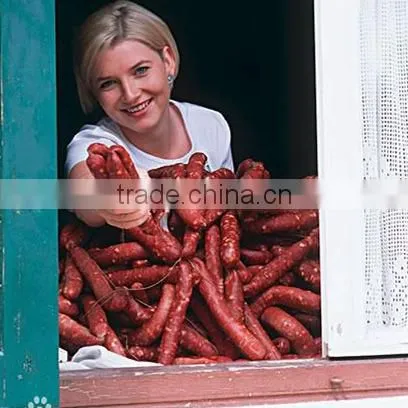 TVP Defatted Soya Protein Soy Meat Textured Soy Protein photo-2