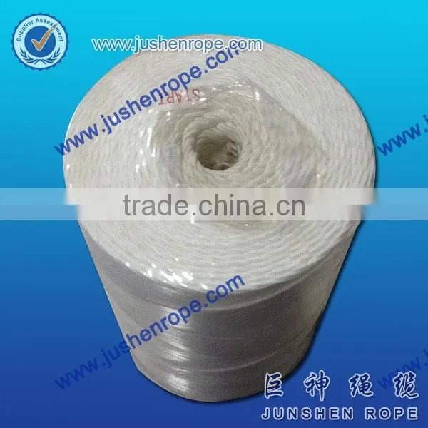 Chinese Cheap White Transparent Nylon Cord 2mm photo-3