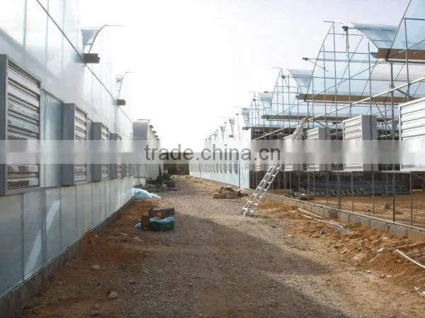 Commercial Greenhouses photo-3