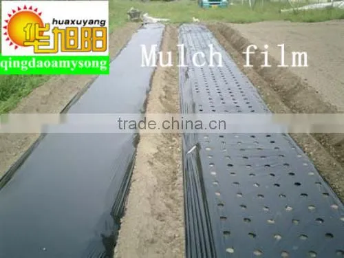 PE Black Agricultural Mulch Film