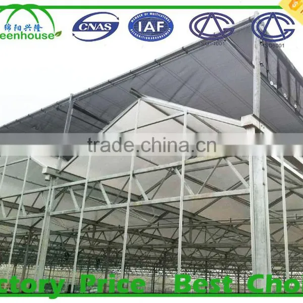 Vegetable Seeds Greenhouse photo-2