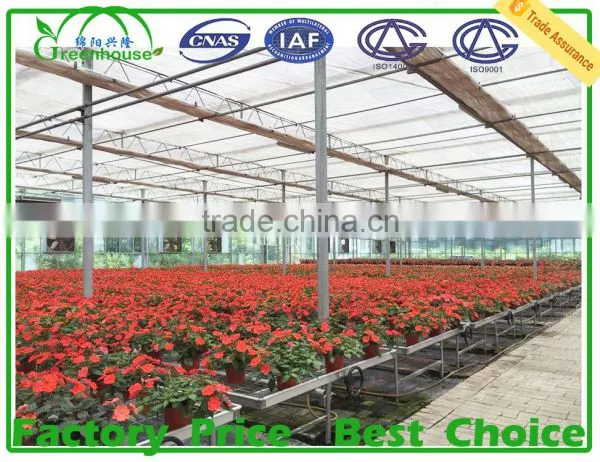 Agriculture Farming/ Greenhouse photo-4