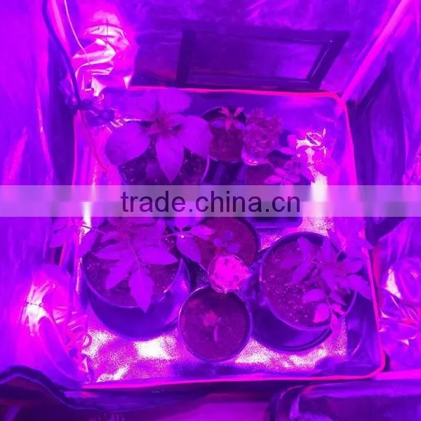300 LED Grow Light Full Spectrum CE ROHS Certification Lighting for Indoor Greenhouse / Garden Plants Growing, photo-5