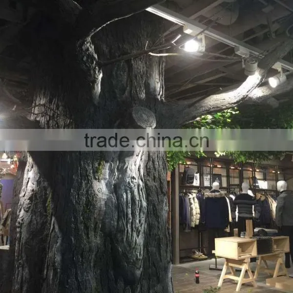 Derorative Ficus Tree