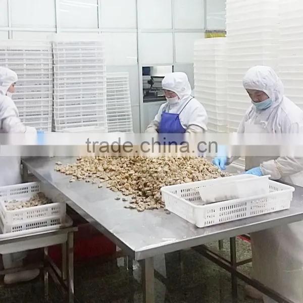 Frozen Baby Clam Size 41-50 photo-3