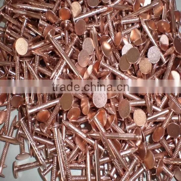 Stainless Steel Construction Nails photo-4
