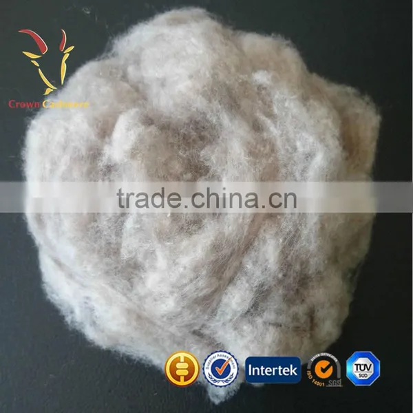 Dehaired Cashmere Fiber Tops photo-3