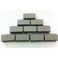 SS10 Tungsten Carbide Welding Tips
