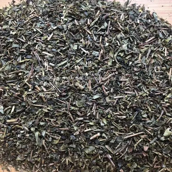 Supply of Green Tea, Coarse Tea, Pearl Tea, Mass Tea, Large Leaf Tea, Suitable for Hotels and Guesthouses to Drink Ai'e Awdiaec Selenium Rich Tea photo-4