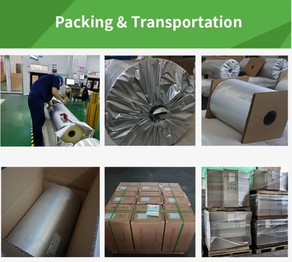 Nylon Film (BOPA ) Laminating Film photo-4