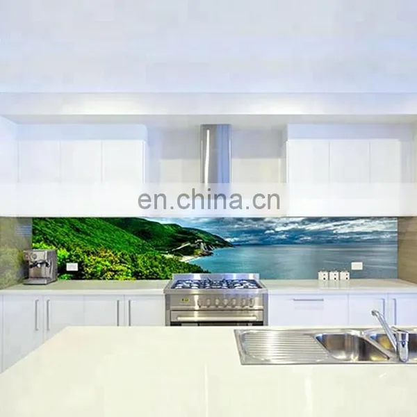 High Goss 575mm Silk Screen Printing Glass Splash Backs for Kitchen photo-4