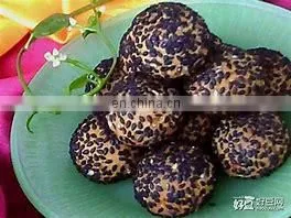 Commercial Sweet Sesame Ball Production Line photo-3