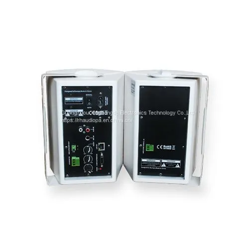 IP Based Speaker RH5010