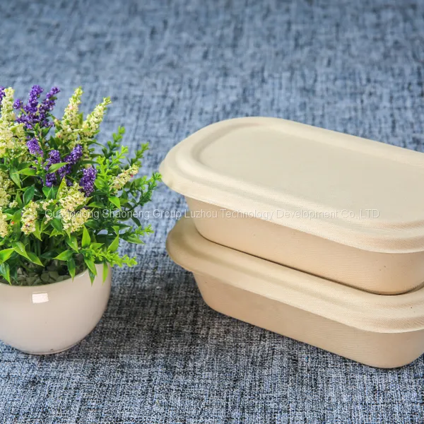 biodegradable tableware disposable compostable sugarcane bagasse pulp bamboo pulp salad bowl with lid paper two divisions