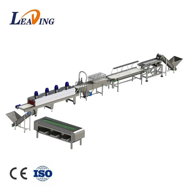 Automatic Industrial Palm Dates Processing Machine High Capacity Dates Washing Pitting Grading Drying Line for Dates Factory photo-1