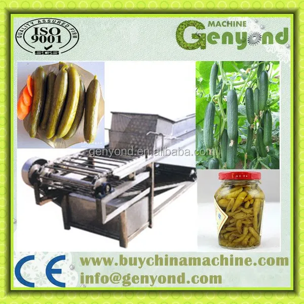 China Pickled Cucumber Production Line/processing Machine/equipment photo-3