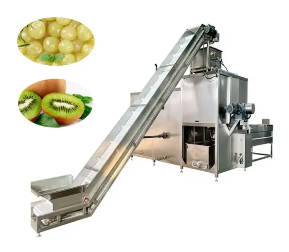 Automatic 2-3 Tons Per Hour Tomato Onion Steam Peeling Machine