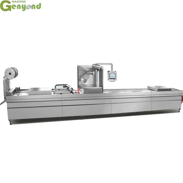 China Dry Fish Full Automatic Vacuum Packing Machine Stretch Film Vacuum Packaging Machine
