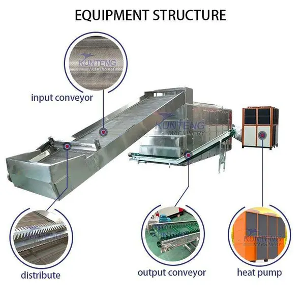 Small Cassava Drying Machine Dehydration for Cassava Slice Vegetable Belt Dryer Machine EPC photo-2