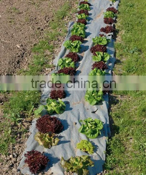 Non-woven Landscape Ground Cover Supplier photo-5
