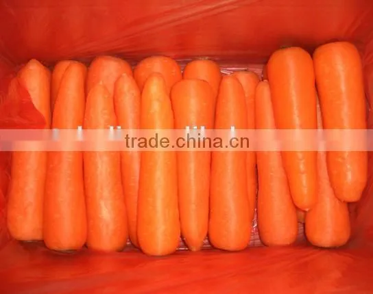 Nature 316 Size Fresh Carrots on Sale