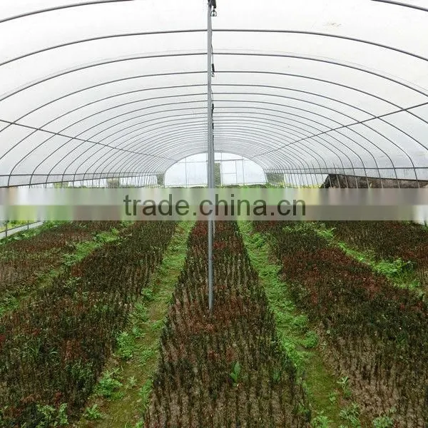 Tunnel Plastic Greenhouse Film Agriculture photo-2