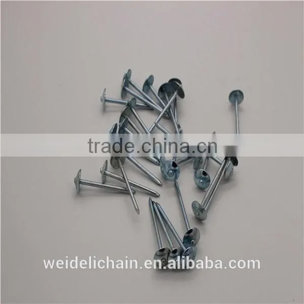 Hardware Umbrella Roofing Nails photo-4