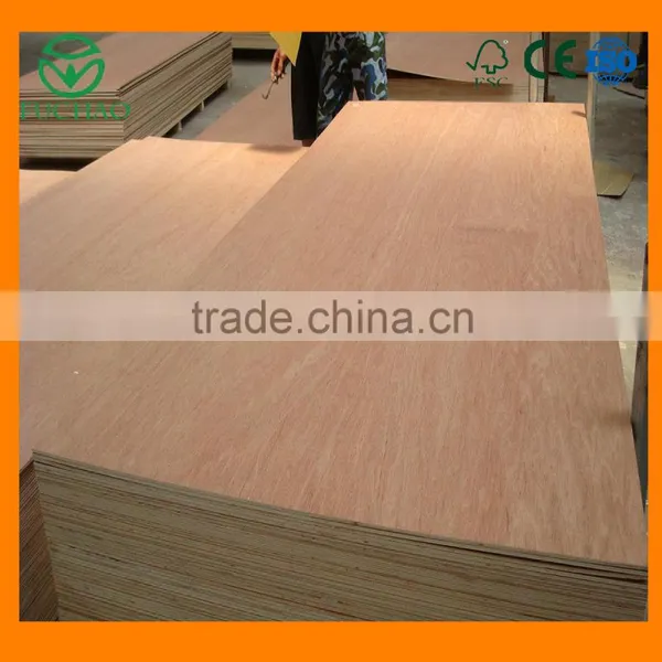 Shiny Bintangor Veneer for Interior Decoration Form China Wood Factory photo-2