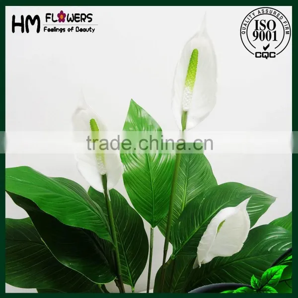 Artificial Peace Lily Flower Artificial Flower Pot photo-4