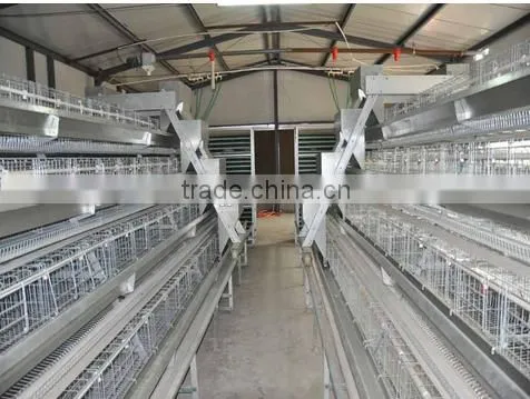 Steel Galvanized Chicken Laying Cage With Auto Drinker and Feeder