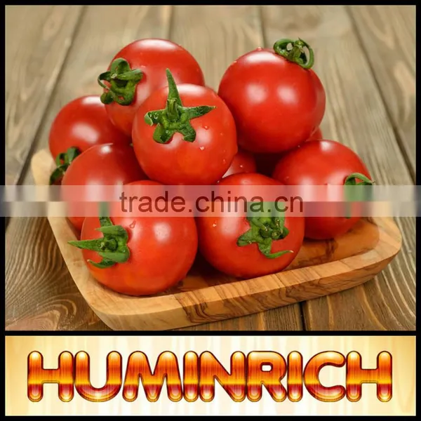 Huminrich Shenyang Factory Hot Sale High Purity Super Sodium Humate photo-2