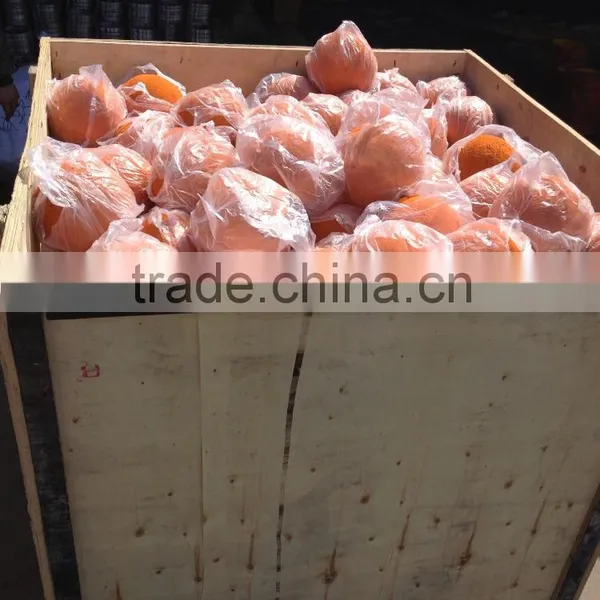 Sany Concrete Pump Pipe Cleaning Rubber Sponge Ball