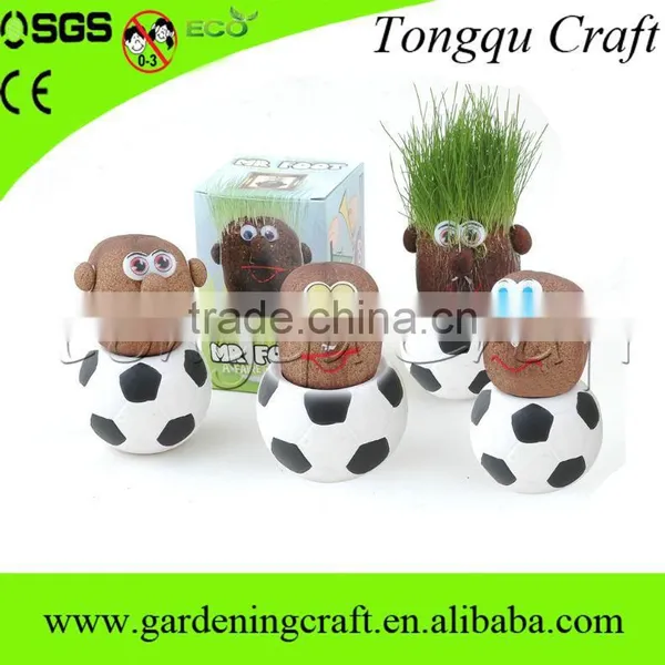 Desktop Decoration Plastic Garden Planters Cheap Window photo-5
