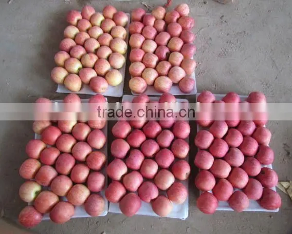 Grade AA Juicy,sweet Red Fuji Apple photo-2