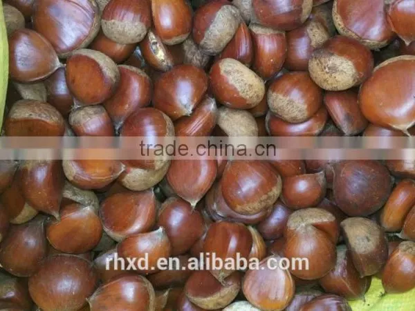 2015 Health Food Fresh Chinese Sweet Chestnuts/chinese Snack Food photo-3