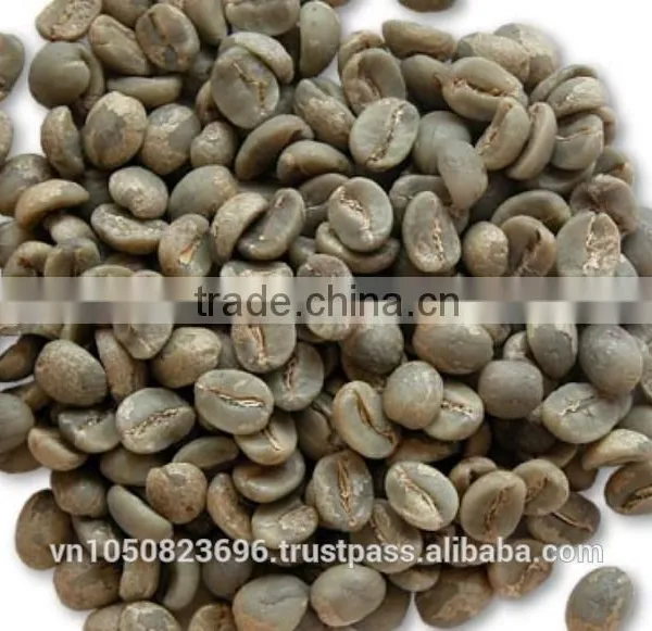 ARABICA GREEN COFFEE BEANS- High Quality photo-6