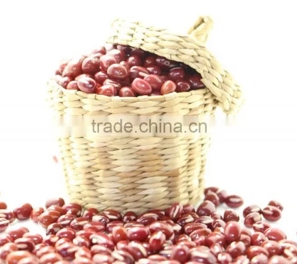 Adzuki Bean photo-3