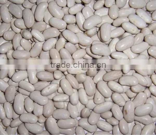2015 White Kidney Beans for Sale With Cheaper Price From China photo-6