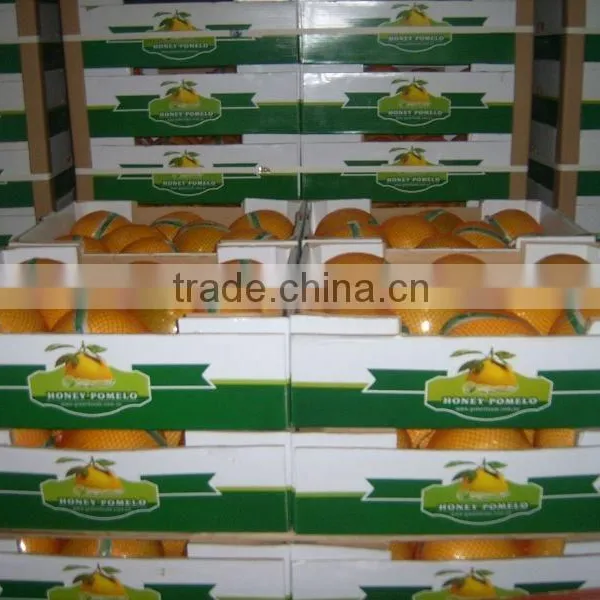 Chinese Fresh Sweet Honey Pomelo for Selling photo-5
