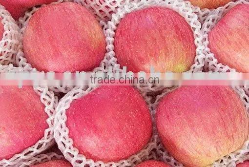 Red Fuji Apple