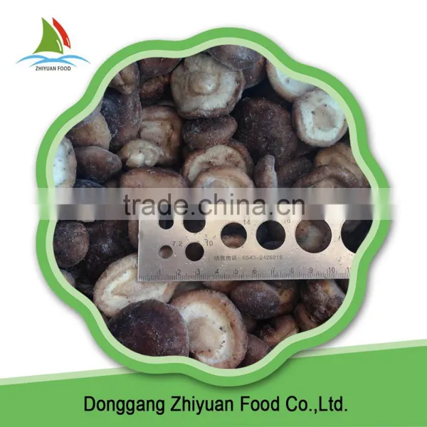 High Quality Frozen Shiitake Best Sell And Low Price photo-5